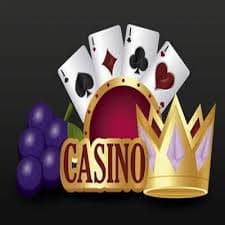 Professional VIP dealer at exclusive table with multiple HD camera angles, showing real-time gameplay and professional studio setup